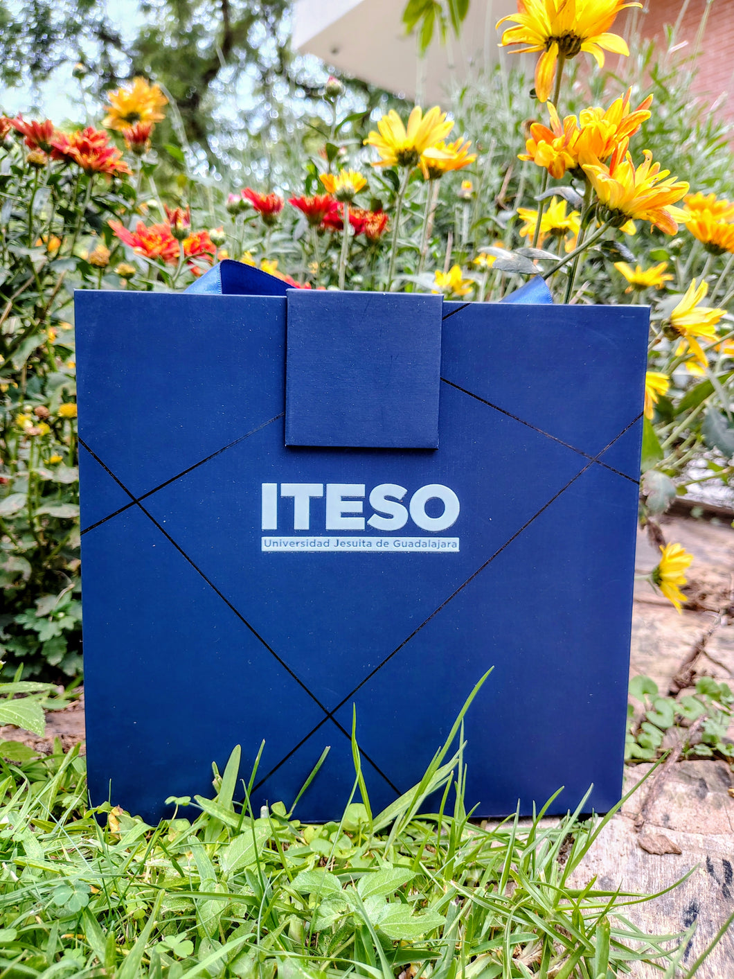 Set Timantti ITESO